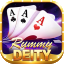 teen patti ludo game icon