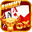 play rummy and earn money
