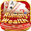 rummy playing cards